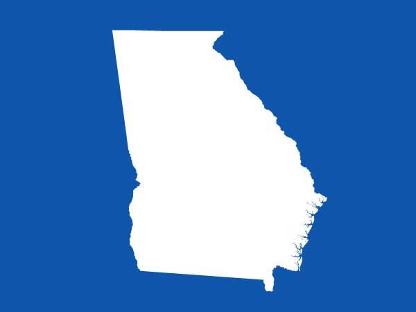 Searching for Opportunity: Medium to Large OD Practice in Georgia